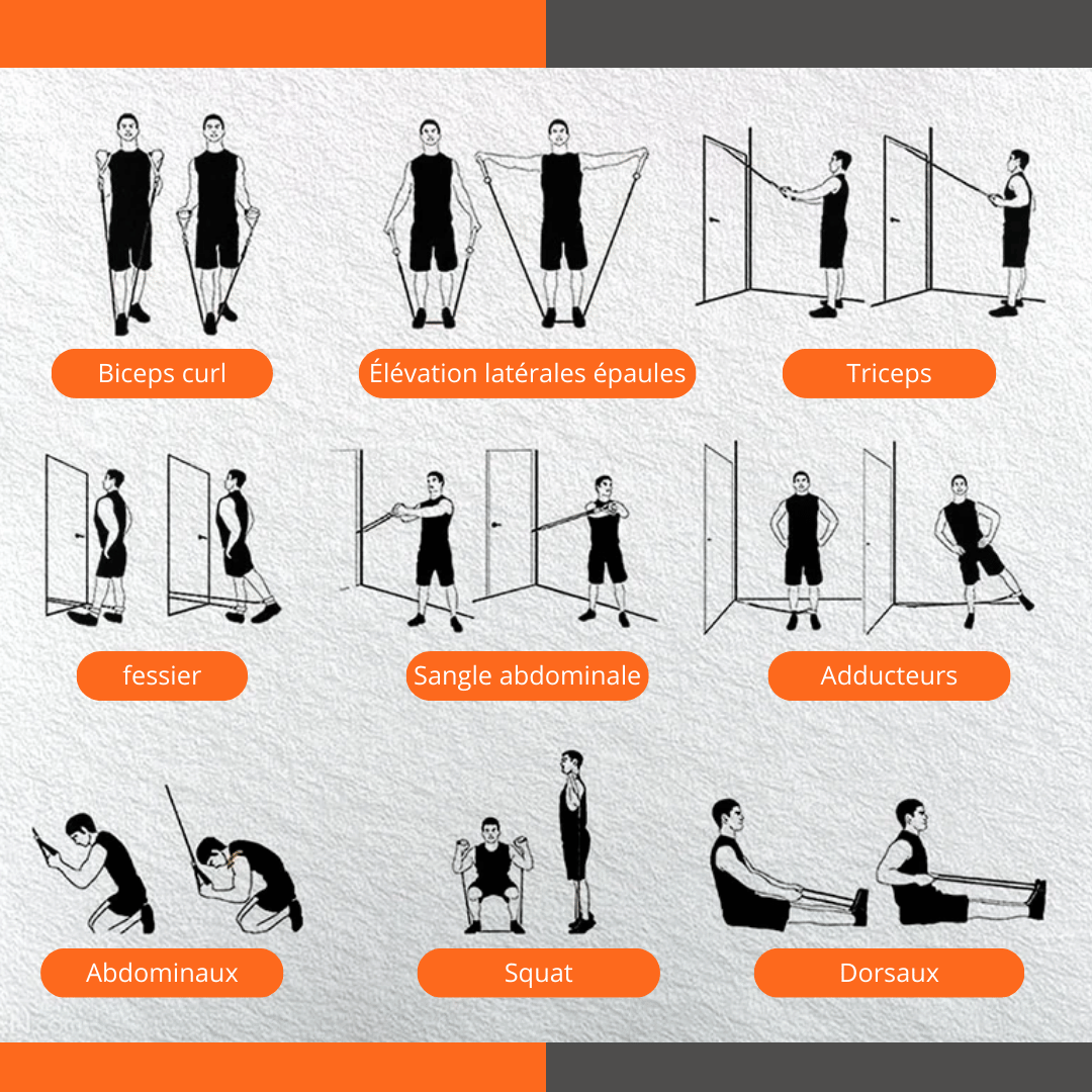 Basic-Abs™️ TotalWorkout - Training Set 11 Pieces